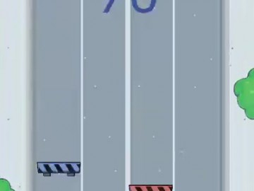 2 Cars race
